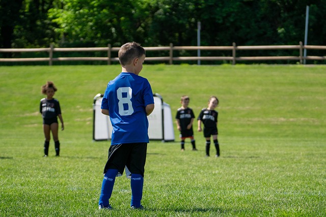 上實力的體 上實力的體