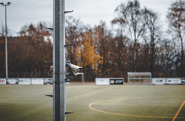 發了球迷和 發了球迷和