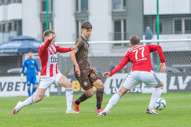 这一选择的 这一选择的