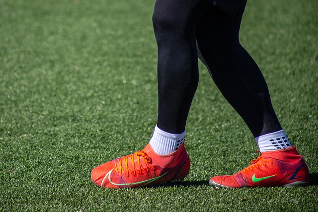 成员国之间 成员国之间