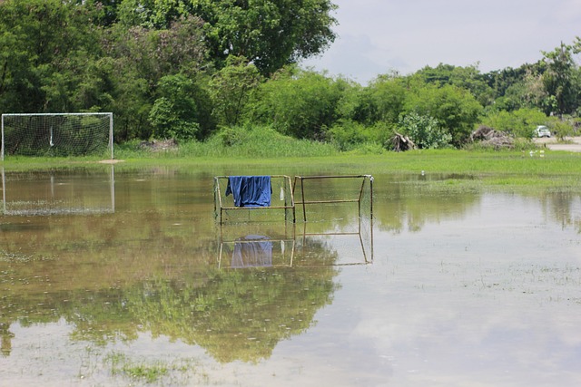 回顾网球历 回顾网球历